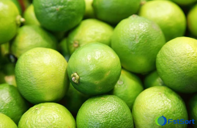 images/1695024664025lime grading machine.jpg